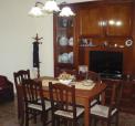 ag_imm_sclfani-7.jpg