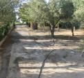 imm-priv-calabria-bb3.jpg