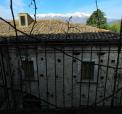 IMG_0793.jpg