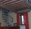scala-cinghiale.jpg