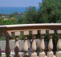 imm_buttafuoco_3456-3.jpg