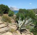 imm_priv_sardinia-4.jpg