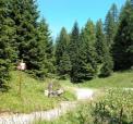 imm_priv_cortina-13.jpg