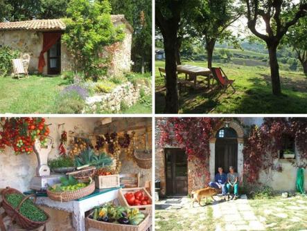 Fattoria Ma'Falda i Orvieto