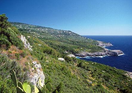 Hotel Mulino i Anacapri, Capri
�