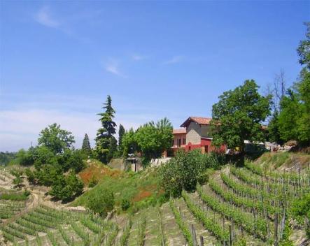 Gård Cascina Sant Eufemia nära Alba i Piemonte