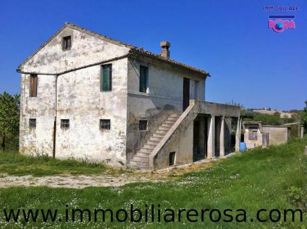 imm-rosa_fermo_1.jpg