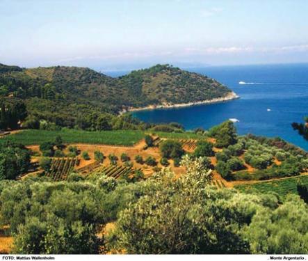 turcosa dagar i toscana, Italien