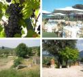 Tenuta Colfiorito i castel Madama