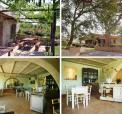 Fattoria di Corsignano n�ra Siena