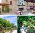 Agriturismo Vecchio Gelso i Le Marche