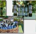 I Poderi del Sole i Carovigno