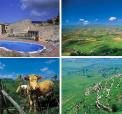 G�rd i Sicilien Tenuta Castagna