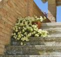 G�rd Ripabianca i Jesi, Le Marche
