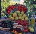 Agriturismo San Leonardello n�ra Catania