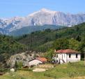 Agriturismo il Collaccio n�ra Lucca