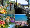 Hotel Caravele i Diano Marina, Ligurien