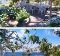 Hyra hus p� Ponza