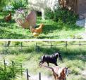Bed and breakfast i Lorenzana, toscana