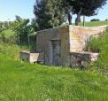 imm-rosa_fermo_5.jpg