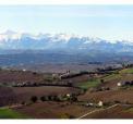 imm_priv_montelupone-6.jpg